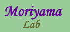 Moriyama Lab