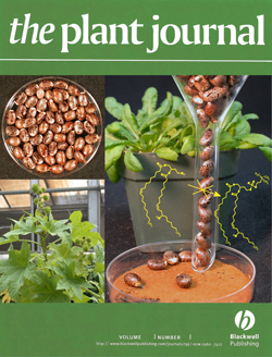 Plant Journal Magazine